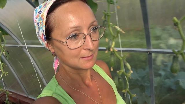 6 соток в июле. Жара. смотреть онлайн