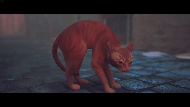 Stray - Расслабление смотреть онлайн