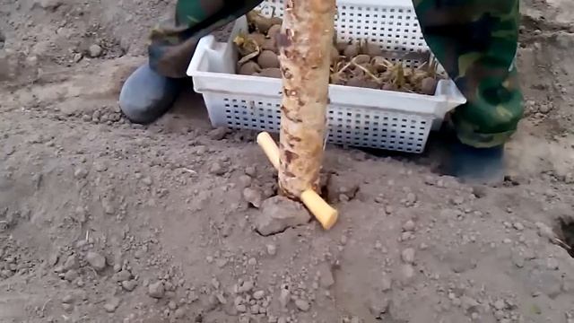 Картошка 1 смотреть онлайн