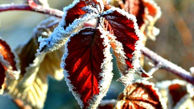 Господство на земле, как и на Небе. Противостояние тьме. Принимай и применяй власть, данную Свыше!