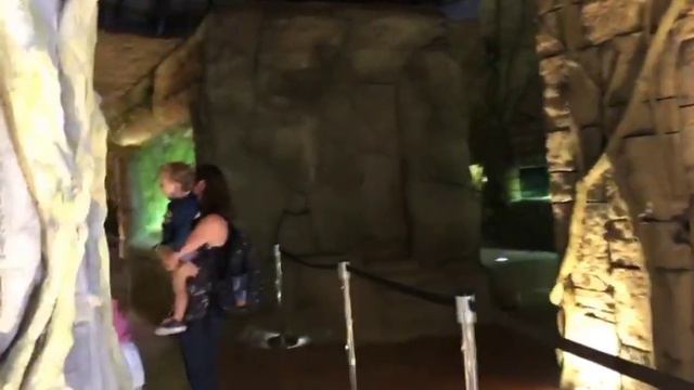 Dubai Safari Park Adventure - Part 1 | Khitab TV смотреть онлайн