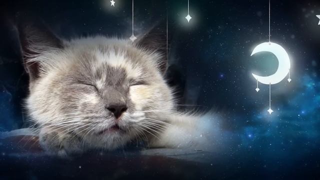 10 HOURS - Relaxing Lullaby for Cat and Kitten (with Cat purring sounds) CAT MUSIC смотреть онлайн