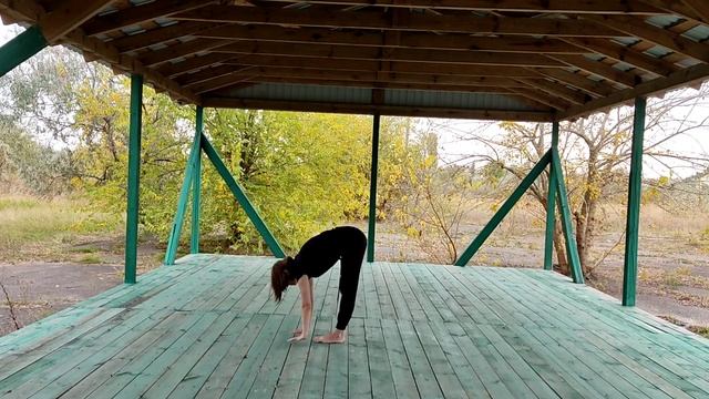 Хатха-йога. Развитие последовательности. смотреть онлайн