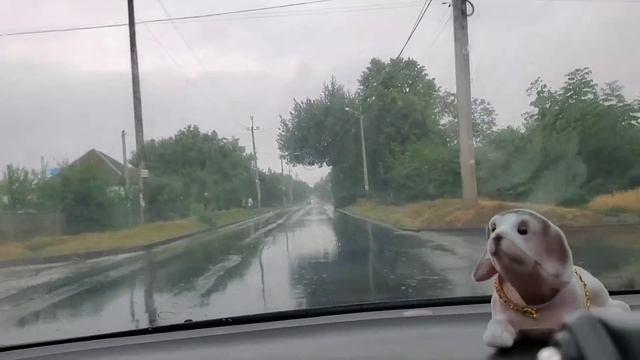 Тяжело без Светланы! Появились огурцы на огороде! Приготовил вкусный борщ смотреть онлайн