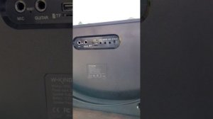 W-King H10 Wireless Karaoke Party Speaker - Review/Demo