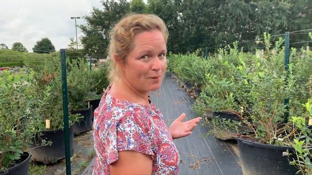 LSU AgCenter Hill Farm Horticulture Teaching Facilities And University Gardens Tour