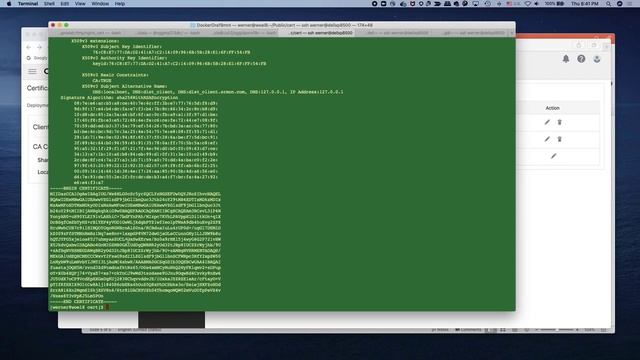 Demo - Certificates (mTLS) on GoldenGate Distribution Paths смотреть онлайн