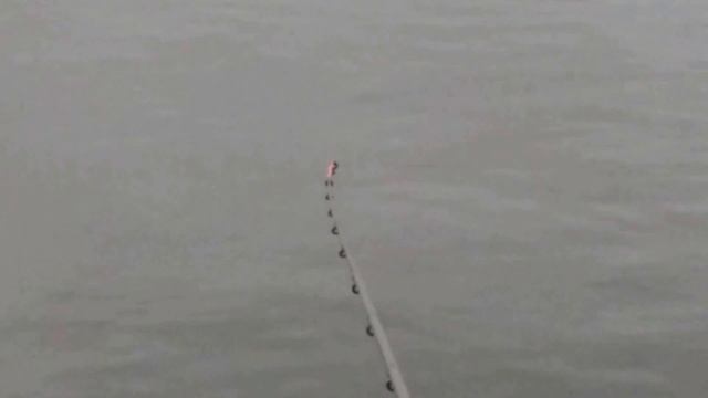 ТЭЦ 5 Осторожные поклёвки карася на фидер зимой смотреть онлайн