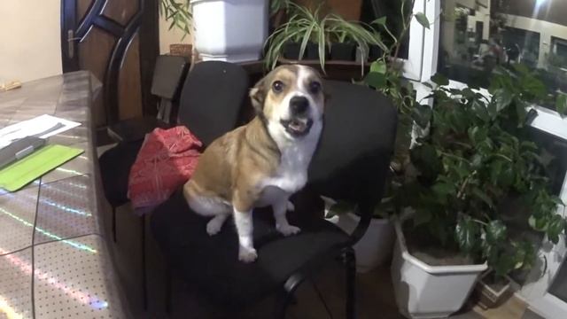 Зірка смотреть онлайн