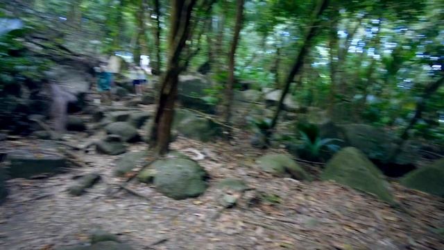 Почему все без ума от Сейшел, ч. 5. Anse Royal, Botanic Garden, Anse Major, подводный мир,Anse Loui смотреть онлайн