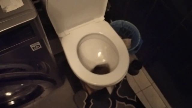 Гайд как сходить в туалет по большому смотреть онлайн