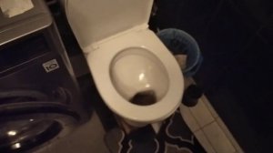 Гайд как сходить в туалет по большому