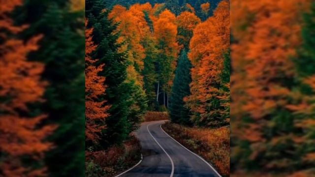 Осень. Красивое стихотворение. смотреть онлайн