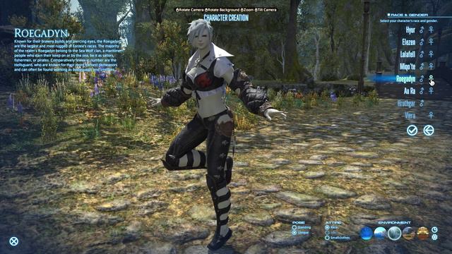 Final Fantasy XIV  Characters Creation Free Trial