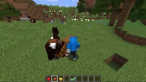 Как приручить и разводить лошадей в Майнкрафт?