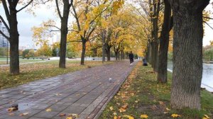 Утиные истории. Парк Дружба. 05.10.2022 год. Москва.