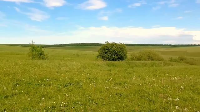 Звуки природы.Луг.Пение птиц.Жаворонки смотреть онлайн