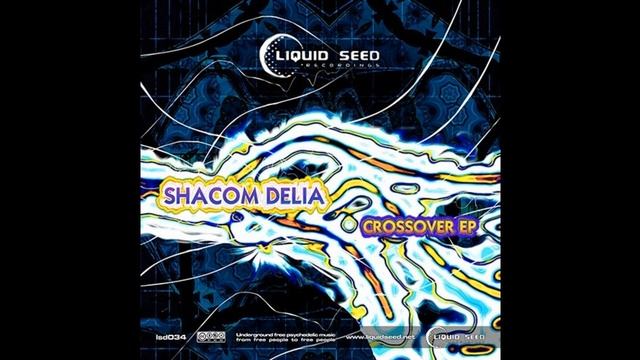 Shacom Delia - Groovie Moovie смотреть онлайн