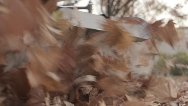 Машина подметальная Caiman SM 1200W