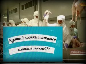 Куриный остаток или костный фарш с производства - можно ли собакам?