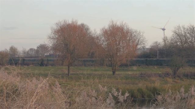 Kodak Color Plus 200 смотреть онлайн