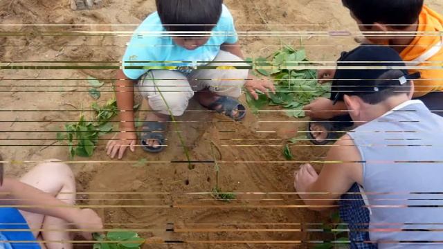 Отдых-2013 в лагере "Солнышко" МАОУ СОШ №2 п. Новоорск Оренбургской области смотреть онлайн