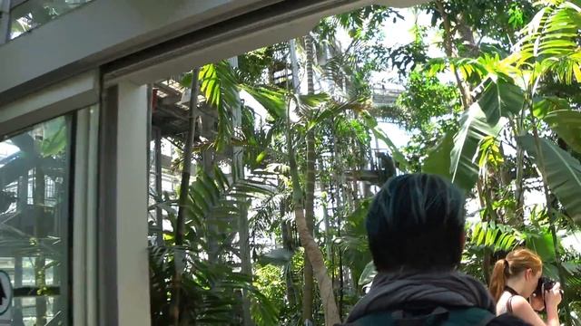 Переезжаем???Наша поездка в Вашингтон,столицу США. смотреть онлайн