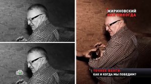 Каким был Жириновский вне политики