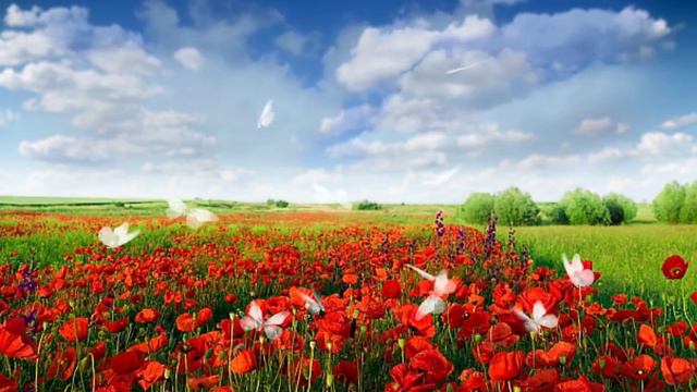==КРАСОТА ПРИРОДЫ==Мелодия для души!!! смотреть онлайн