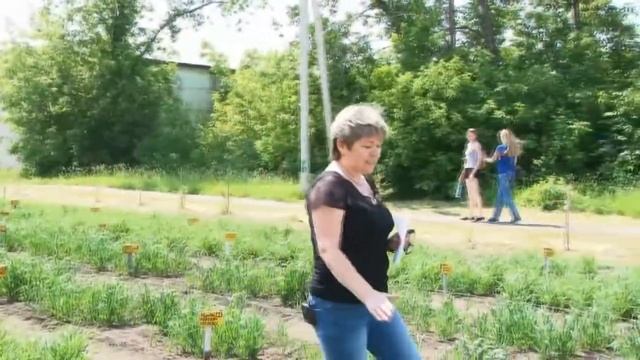 Видеолекция. Земледелие. Влажность почвы. Чуманова Н.Н. смотреть онлайн