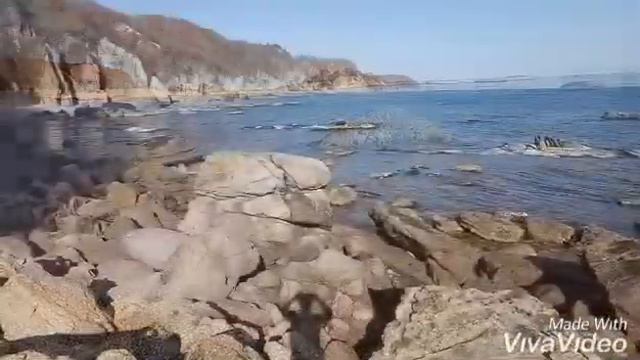 Путешествие в бухте "Заря" смотреть онлайн