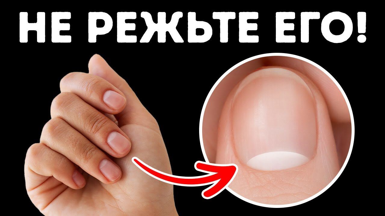 86 Удивительных фактов, которым вас никогда не учили смотреть онлайн