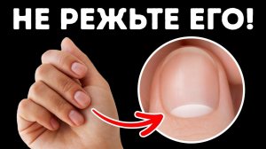 86 Удивительных фактов, которым вас никогда не учили