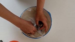 Как выкормить птенца дикой птицы дома (скворчонка)
