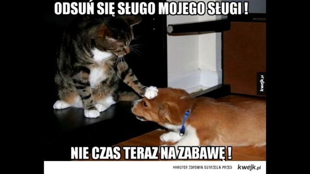 Klasa 5 - System feudalny смотреть онлайн