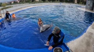 ПЛАВАТЬ С ДЕЛЬФИНАМИ - СБЫЛАСЬ МЕЧТА РЕБЁНКА / Грузия, Батуми, дельфинарий / Июнь 2023