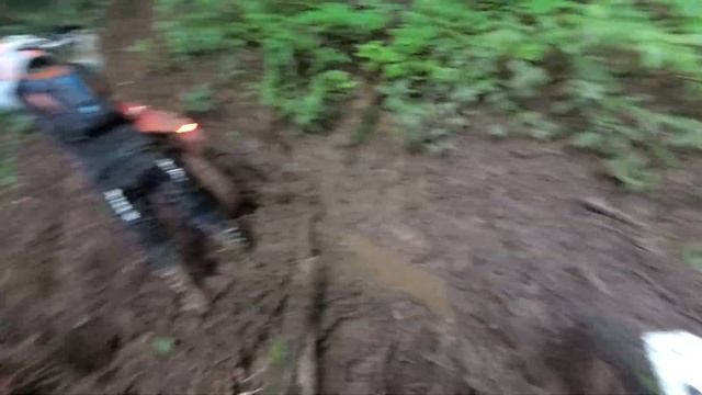 Путь бобра 2023 бронза. 1й день. смотреть онлайн