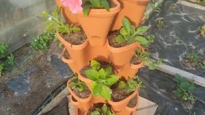 Вертикальная грядка