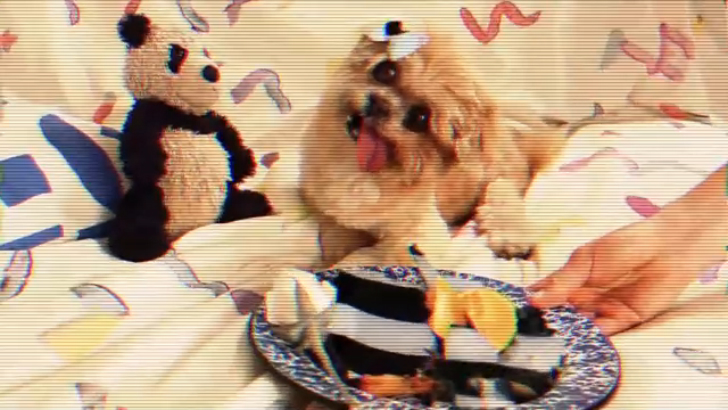 Oberhofer - Someone Take Me Home 2016 смотреть онлайн