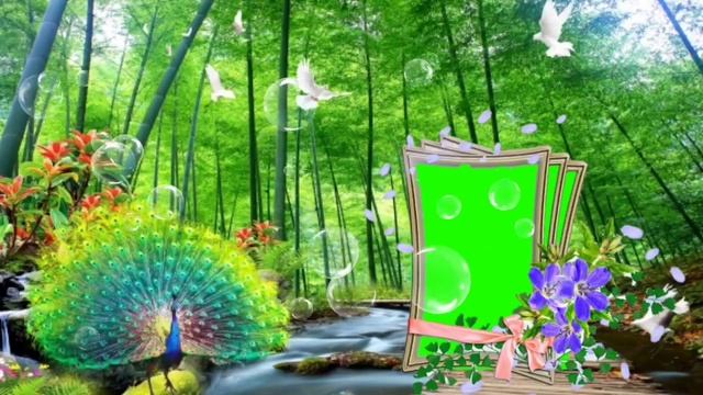 Romantic wedding green screen photo frame effects- top 10 photoshop effects || wedding green screen смотреть онлайн