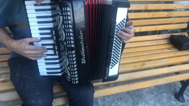 Accordion Weltmeister Caprice 80 смотреть онлайн
