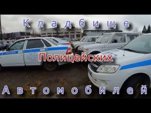 Кладбище полицейских автомобилей. Их здесь сотни