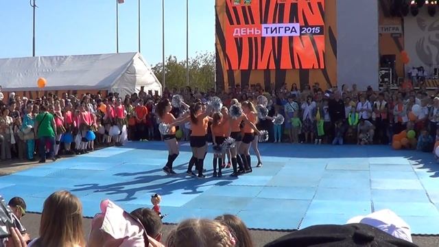 День Тигра.Чирли́динг во Владивостоке.27 сентября 2015 год смотреть онлайн