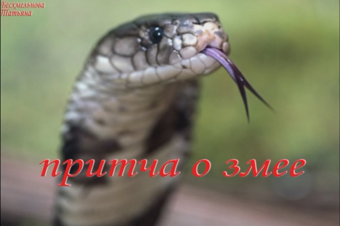 Притча о змее смотреть онлайн