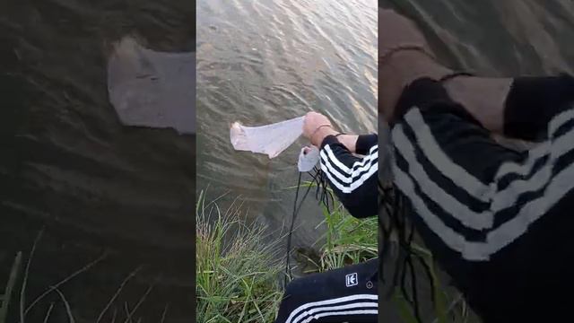 Кастинговая сеть 1 смотреть онлайн