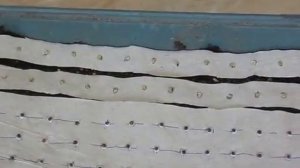 Посадка семян капусты сорта "Июньская" на рассаду