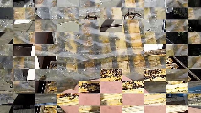 Весенние работы на пасеке в апреле. Когда расширять гнезда. смотреть онлайн
