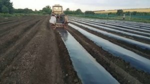 Грядообразователь. Стелим плёнку под клубнику.12.07.2021