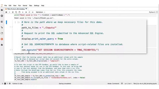 TechBytes: Using Python with Vantage | 4a. In-Database scripting - Scoring with External Model смотреть онлайн