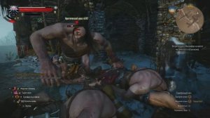 Ведьмак 3, Как быстро прокачать Арондит!